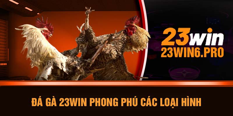 Đá gà 23WIN phong phú các loại hình